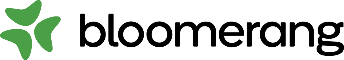 Bloomerang logo